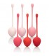 KEGEL TRAINING SET FRESA