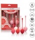 KEGEL TRAINING SET FRESA