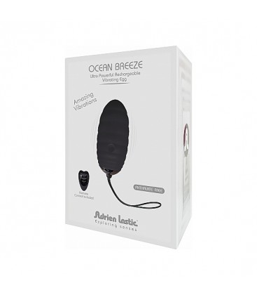 OCEAN BREEZE HUEVO CON CONTROL REMOTO NEGRO