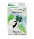 LUCKY CLOVER GEM PLUG ANAL GRANDE TREBOL PLATA
