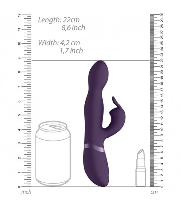 VIVE CONEJO VIBRADOR PUNTO G MORADO