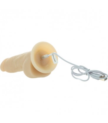 PENE REALiSTICO CONTROL REMOTO CON ROTACIoN 18CM