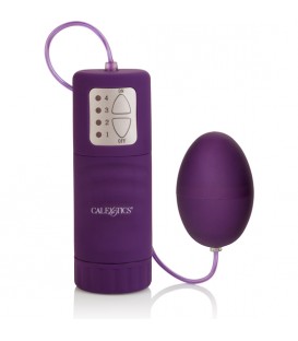 POCKET EXOTICS WATERPROOF EGG - HUEVO VIBRADOR MORADO