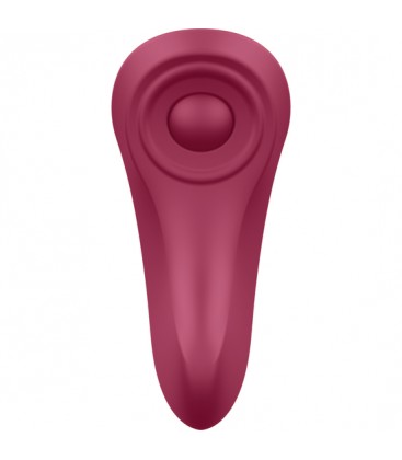 SATISFYER SEXY SECRET PANTY