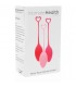 PELVIC FLOOR EXERCISE TRAINER ROSA