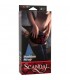 SCANDAL POSITION STRAP CORREA NEGRA