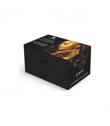 LE DESIR SEXY LINGERIE CALENDER