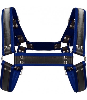 BUCKLE BULLDOG HARNESS AZUL