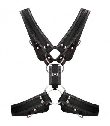 SCOTTISH HARNESS NEGRO