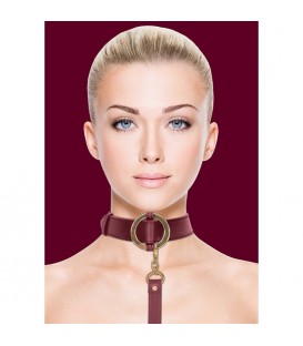 OUCH HALO COLLAR WITH LEASH BURDEOS