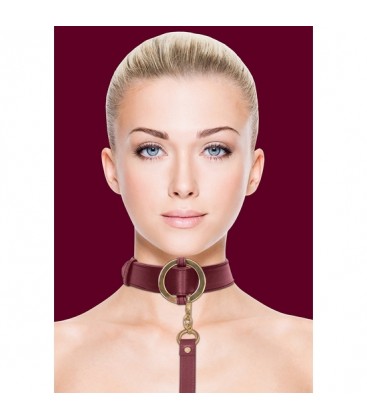 OUCH HALO COLLAR WITH LEASH BURDEOS