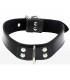ELEGANT D RING COLLAR NEGRO