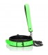OUCH COLLAR CON NEoN GLOW IN THE DARK