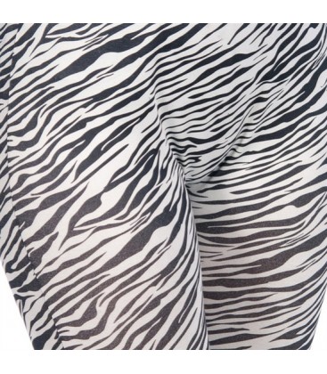 intimax zebra leggign