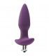 FLIRTS 10 FUNCTIONS VIBRATING PLUG PURPLE