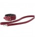 BLAZE ELITE COLLAR AND LEASH RED