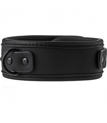 BLAZE COLLAR AND LEASH BLACK