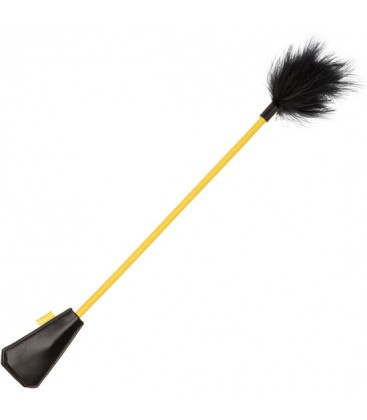 BOUNDLESS PLUMA CON PALETA