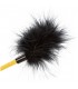 BOUNDLESS PLUMA CON PALETA