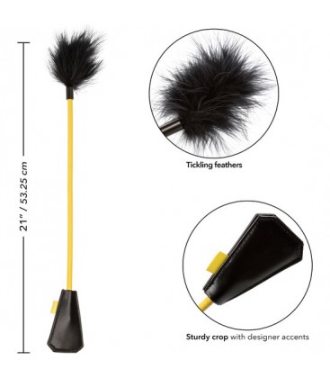 BOUNDLESS PLUMA CON PALETA
