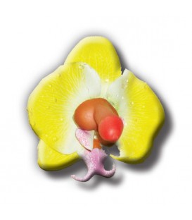 BROCHE PITO FLOR DE LOTO