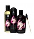 SHUNGA TOUCH OF ROMANCE PARA UNA NOCHE ROMANTICA