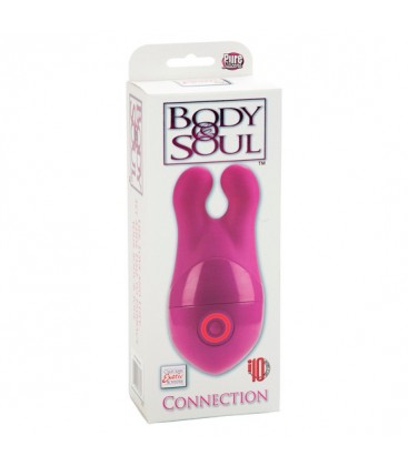 BODY AND SOUL CONNECTION ROSA