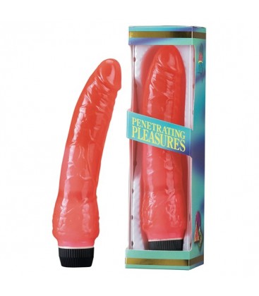 VIBRATOR DE GELATINA ROSA 20 CM