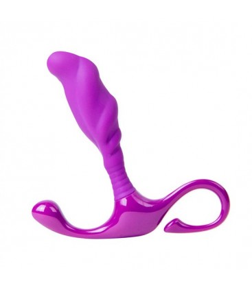 DIVINE TOUCH MORADO