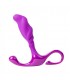 DIVINE TOUCH MORADO