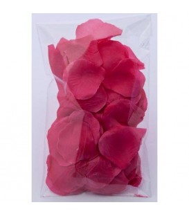 100 PETALOS COLOR FUSCIA