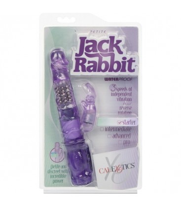 PETITE JACK RABBIT MORADO