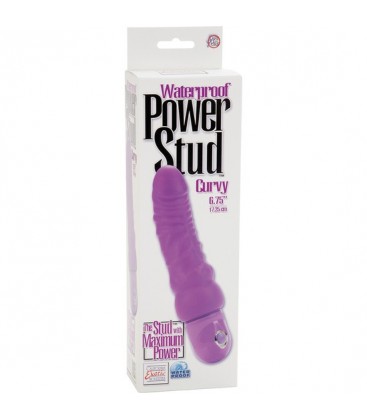 POWER STUD CURVY VIBRADOR REALiSTICO MORADO