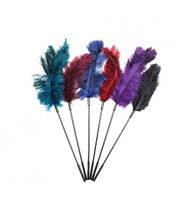 COMBINACIÓN DE 6 PLUMAS DE AVESTRUZ
