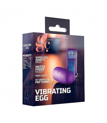 HUEVO VIBRADOR MORADO