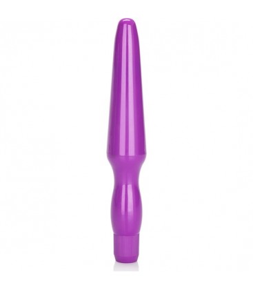 VIBRADOR ANAL MORADO