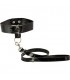 LEASH COLLAR SET