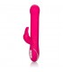 JACK RABBIT SIGNATURE ROSA