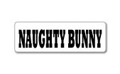 NAUGHTY BUNNY